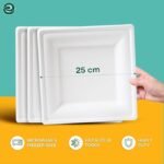 ECO SOUL 100% Compostable Square Paper Plates 10 Inch [100-Pack] Biodegradable Heavy Duty Eco-Friendly Disposable Plates for Dinner, Parties, Wedding & Event(White) - Image 2