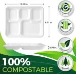 100 Pack 5-Compartment Plate Disposable, Compostable Divided Disposable Dinner Plates, Paper Tray for Food for Dinner and Par - Image 2